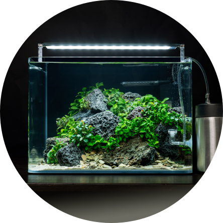 BiotopAquariumLiveContest-AquariumRund