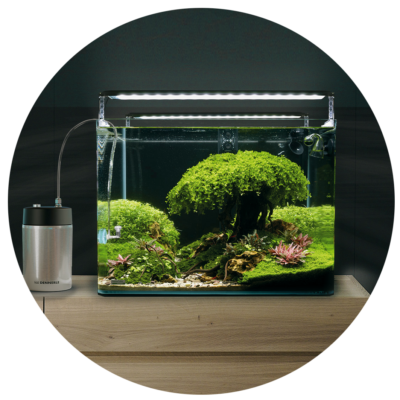 DENNERLETankSet2026-rund2 BiotopAquariumLiveContest-AquariumRund